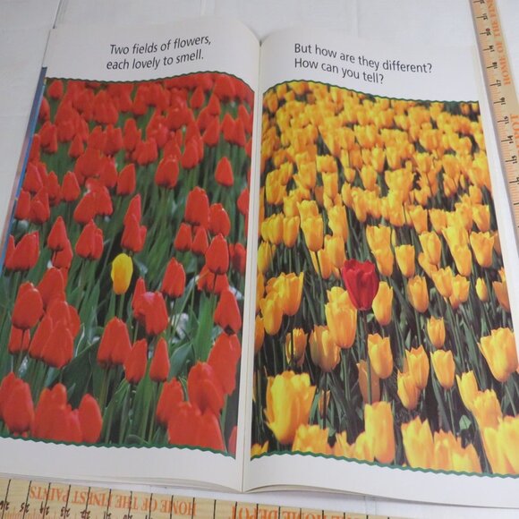 Sort It Out BIG BOOK (almost 2 feet tall) with teacher pages CLASSROOM SIZE - Picture 9 of 16